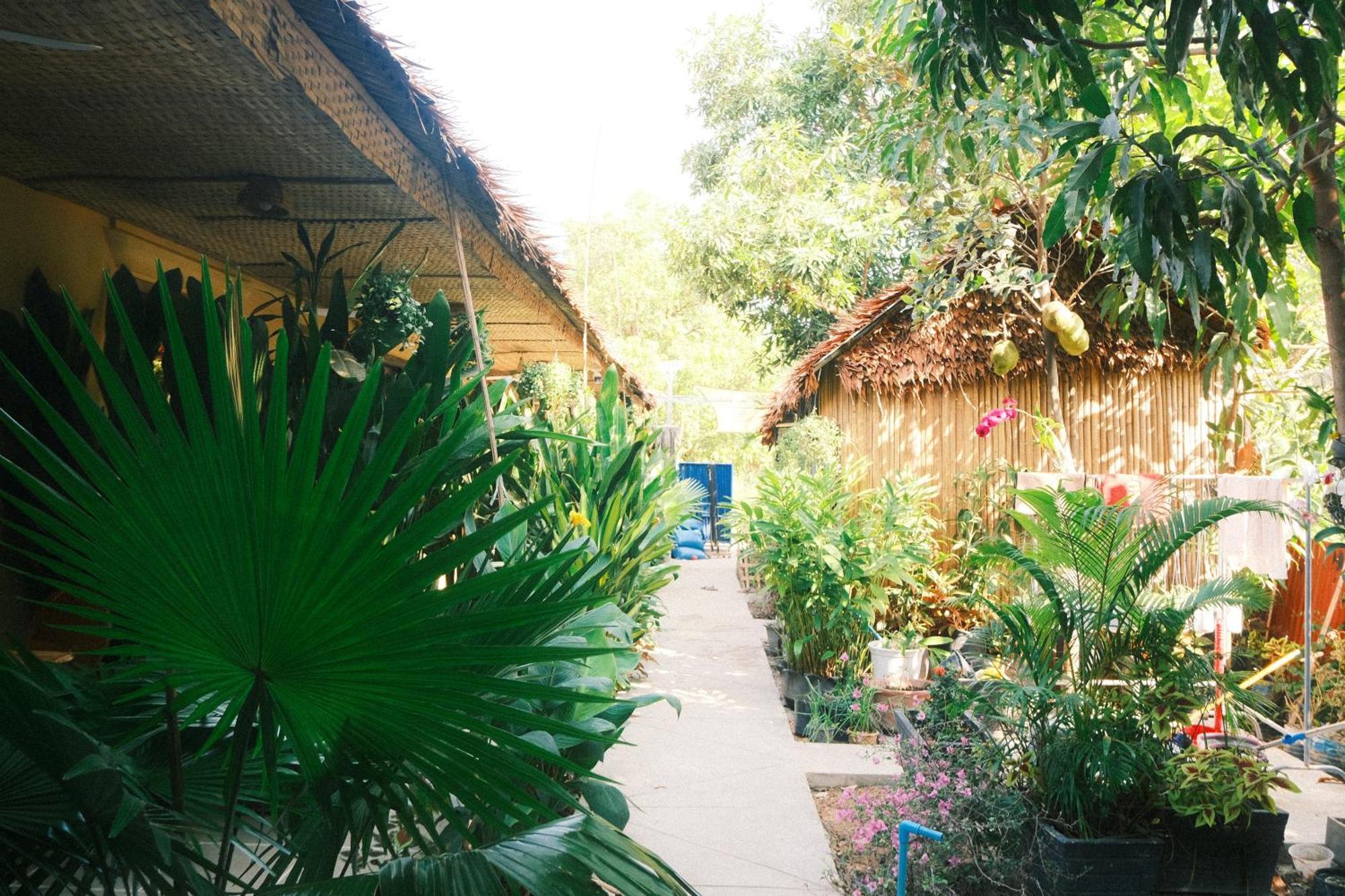 Siem Reap Homesteading Екстер'єр фото