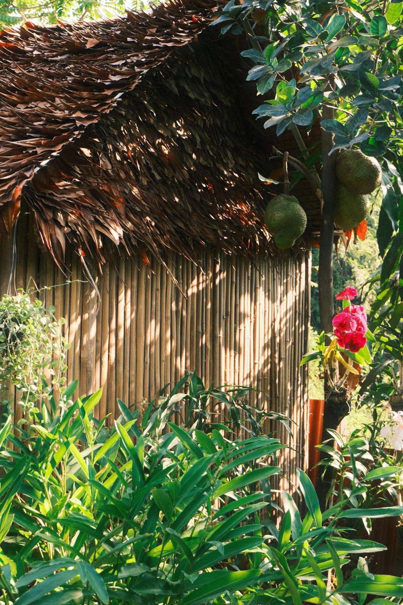 Siem Reap Homesteading Екстер'єр фото